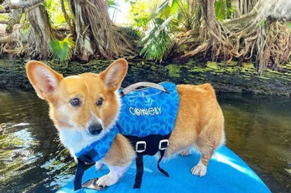 Connelly Dog Neoprene Vest - OTIS