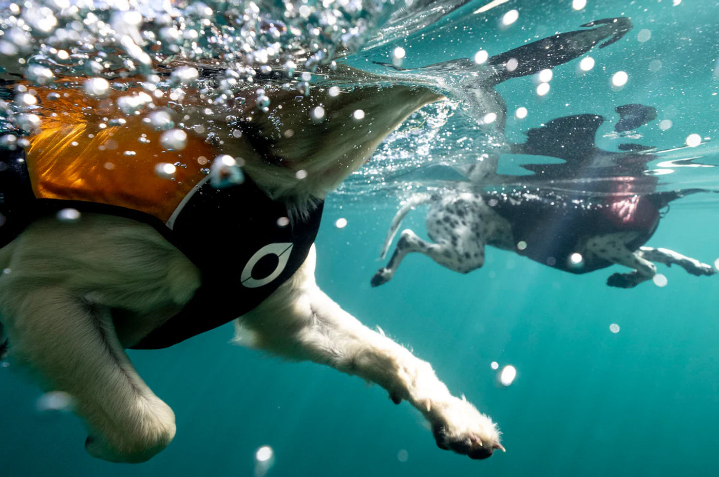Stunt Puppy Float Doggy Life Vest (Mango)