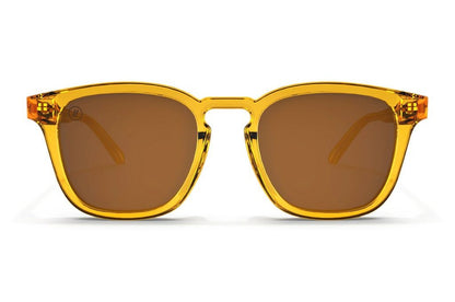 Sydney Polarized Sunglasses - view 12